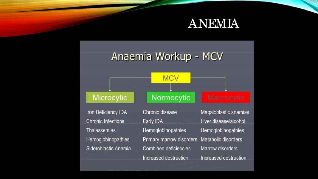 Lab Interpretation from American Herbalists Guild page 21