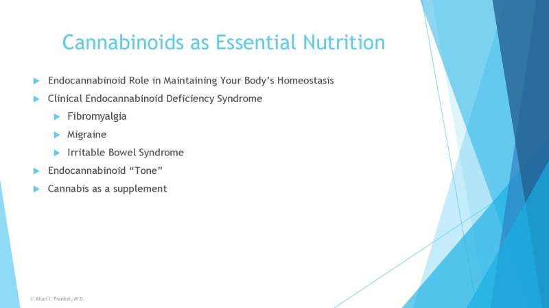 Cannabis Cancer Treatment Slide 11