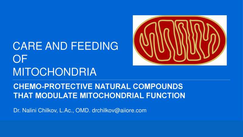 Care and Feeding of Mitochondria page 1