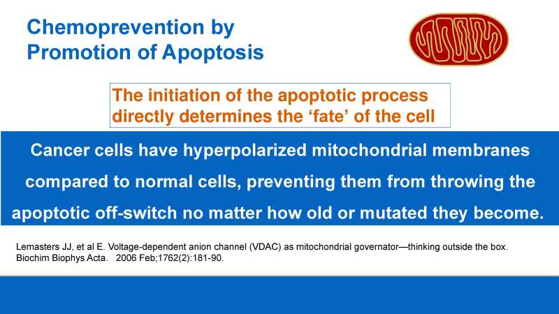 Care and Feeding of Mitochondria page 8