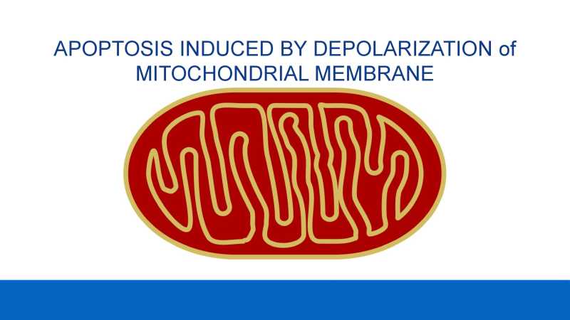 Care and Feeding of Mitochondria page 20