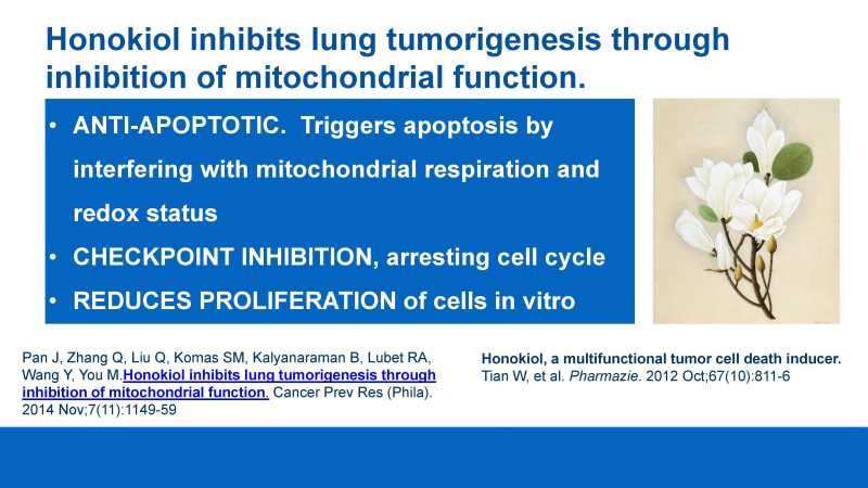 Care and Feeding of Mitochondria page 22