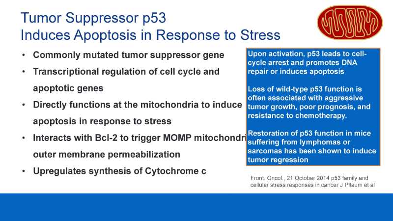 Care and Feeding of Mitochondria page 25