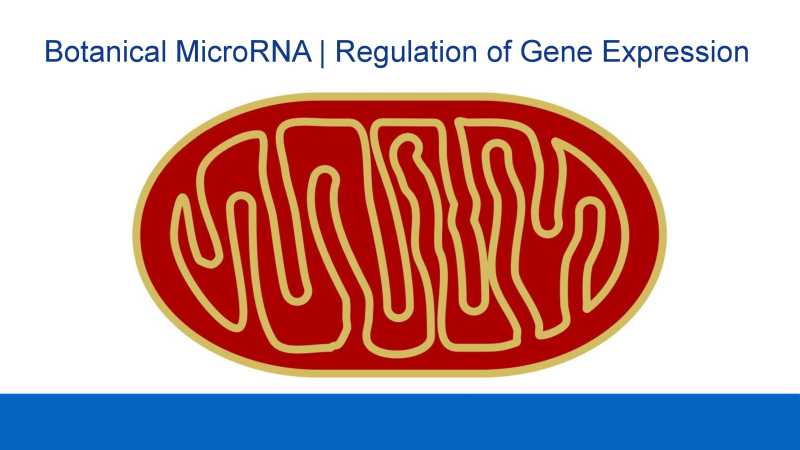 Care and Feeding of Mitochondria page 36