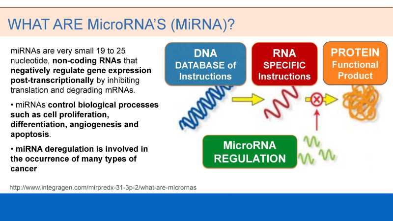 Care and Feeding of Mitochondria page 37