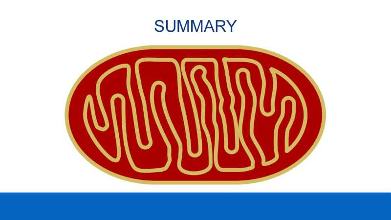 Care and Feeding of Mitochondria page 44