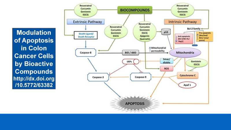 Care and Feeding of Mitochondria page 45