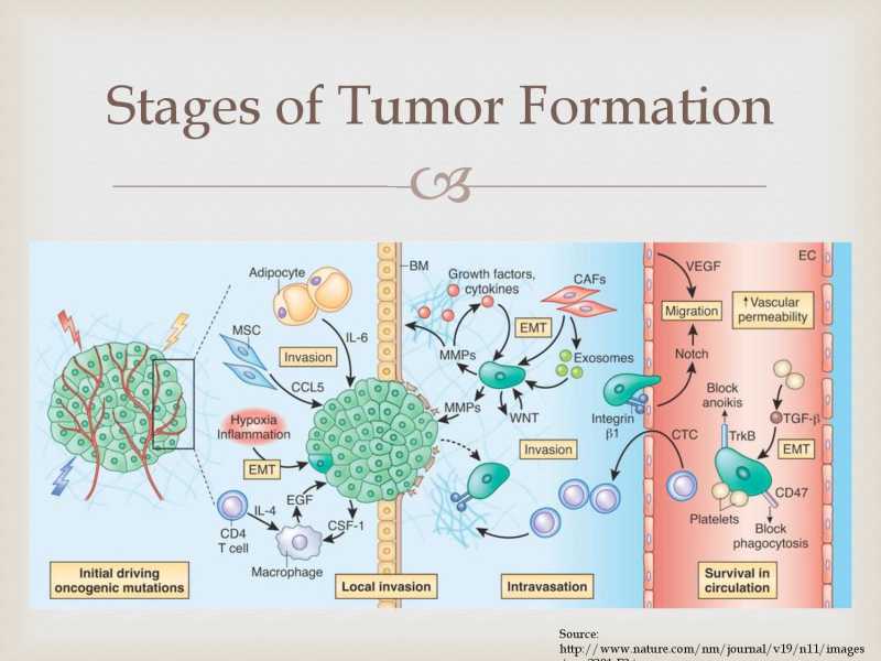 Best Answer For Cancer page 30