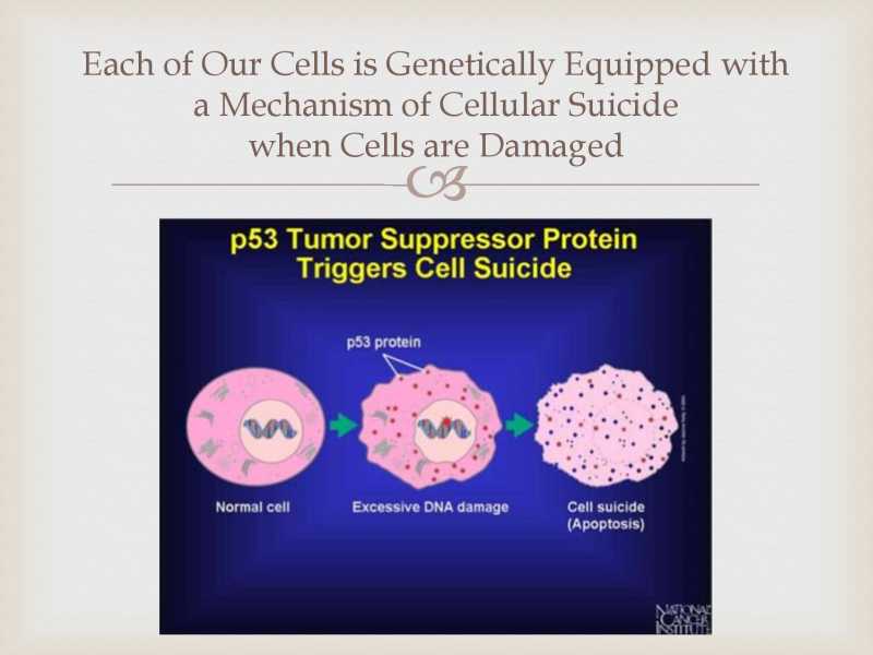 Best Answer For Cancer page 43