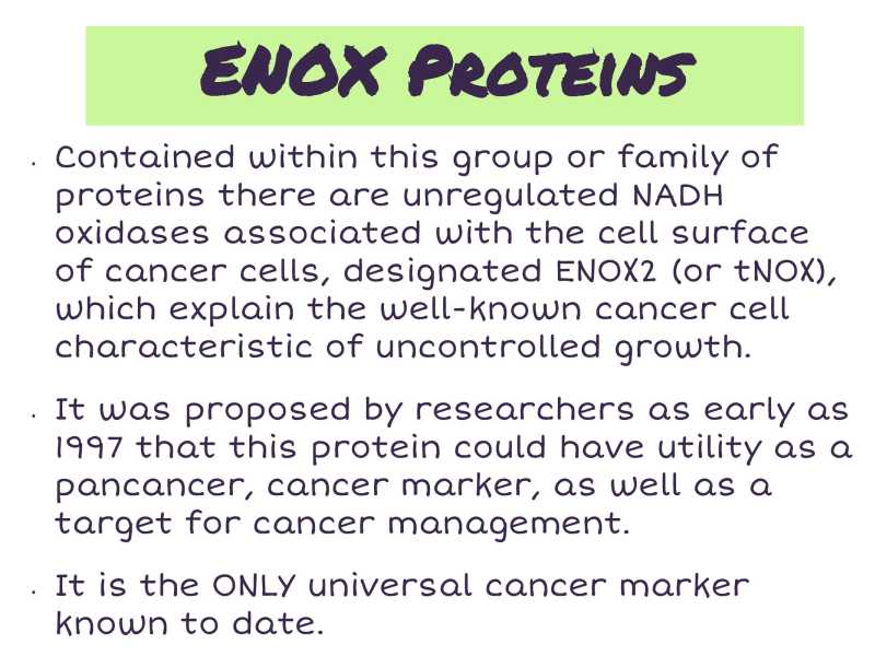 Ghen Presentation page 5