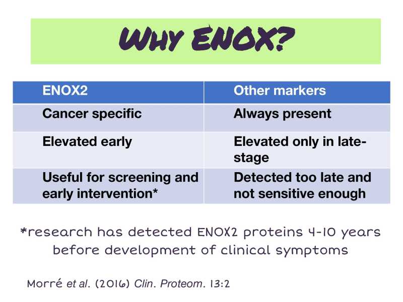 Ghen Presentation page 6