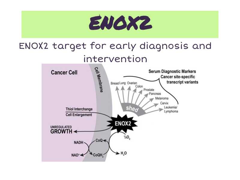 Ghen Presentation page 7