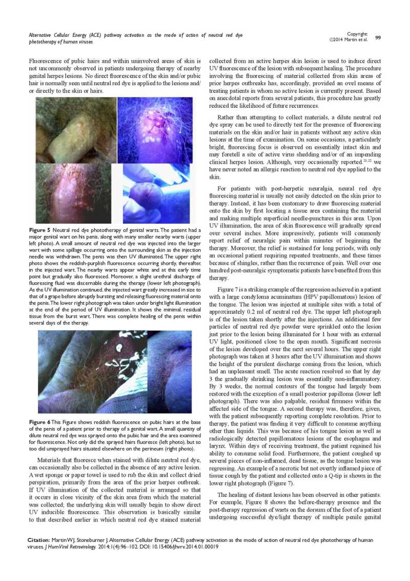 Alternative Cellular Energy page 4