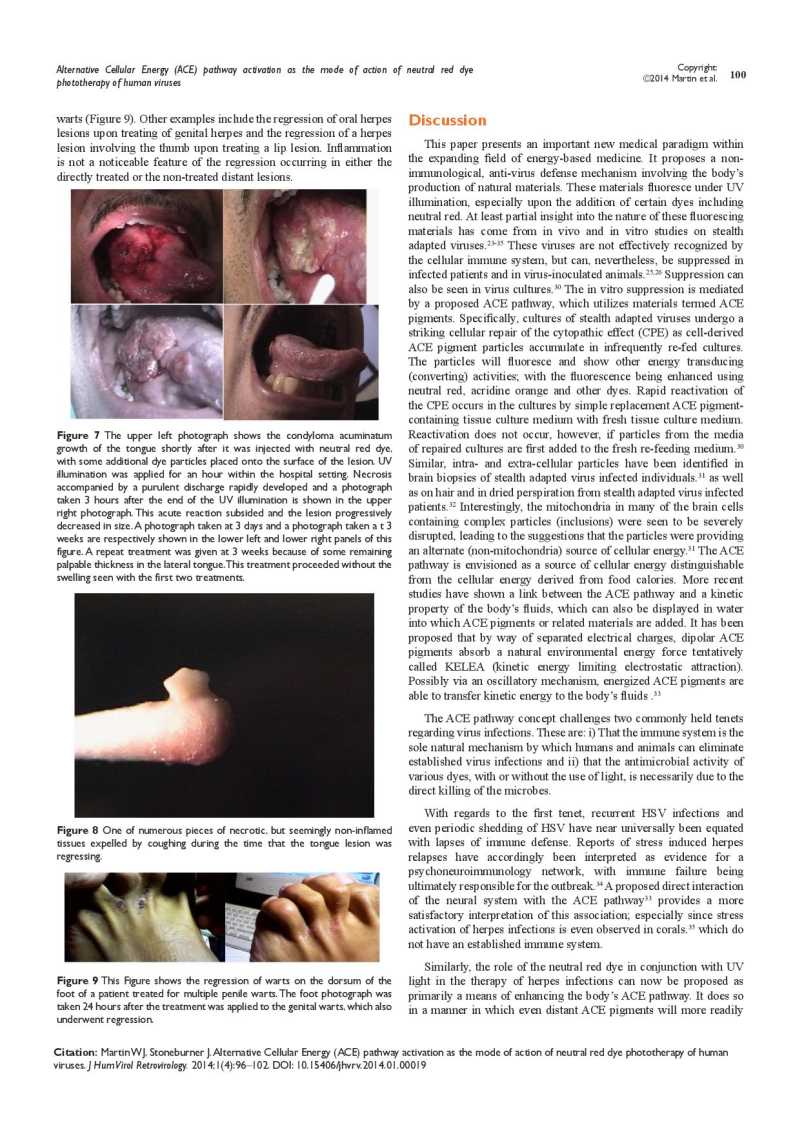 Alternative Cellular Energy page 5