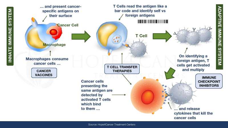 Dr Jimenez Presentation page 11