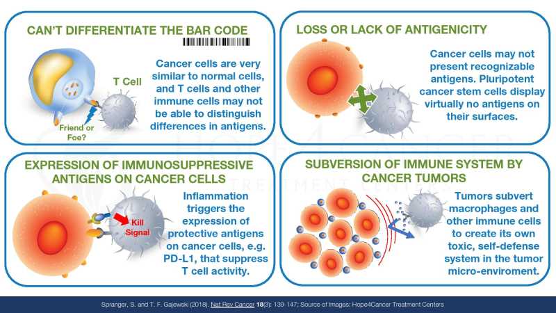 Dr Jimenez Presentation page 14