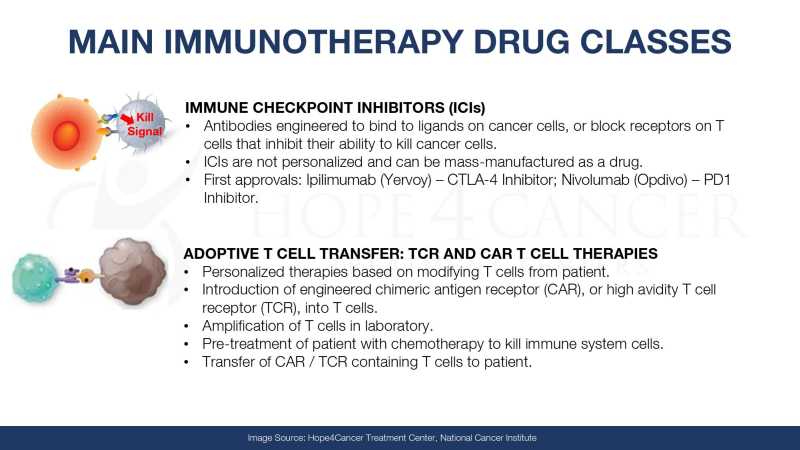 Dr Jimenez Presentation page 17