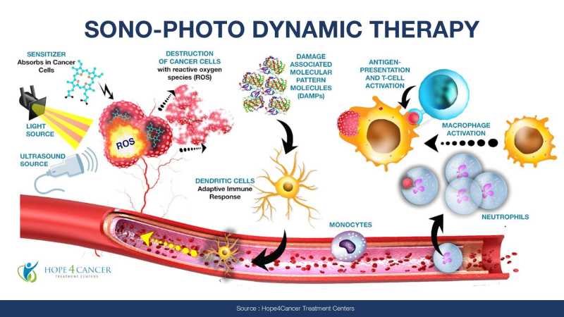 Dr Jimenez Presentation page 52