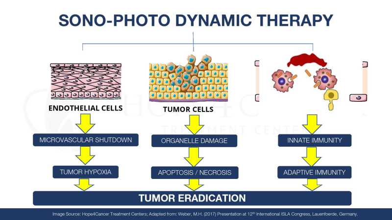 Dr Jimenez Presentation page 53