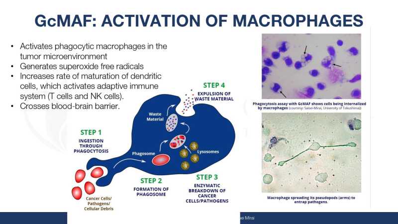 Dr Jimenez Presentation page 58