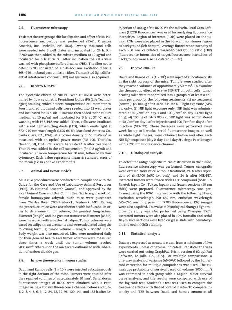 Near infrared photoimmunotherapy of B cell lymphoma page 3