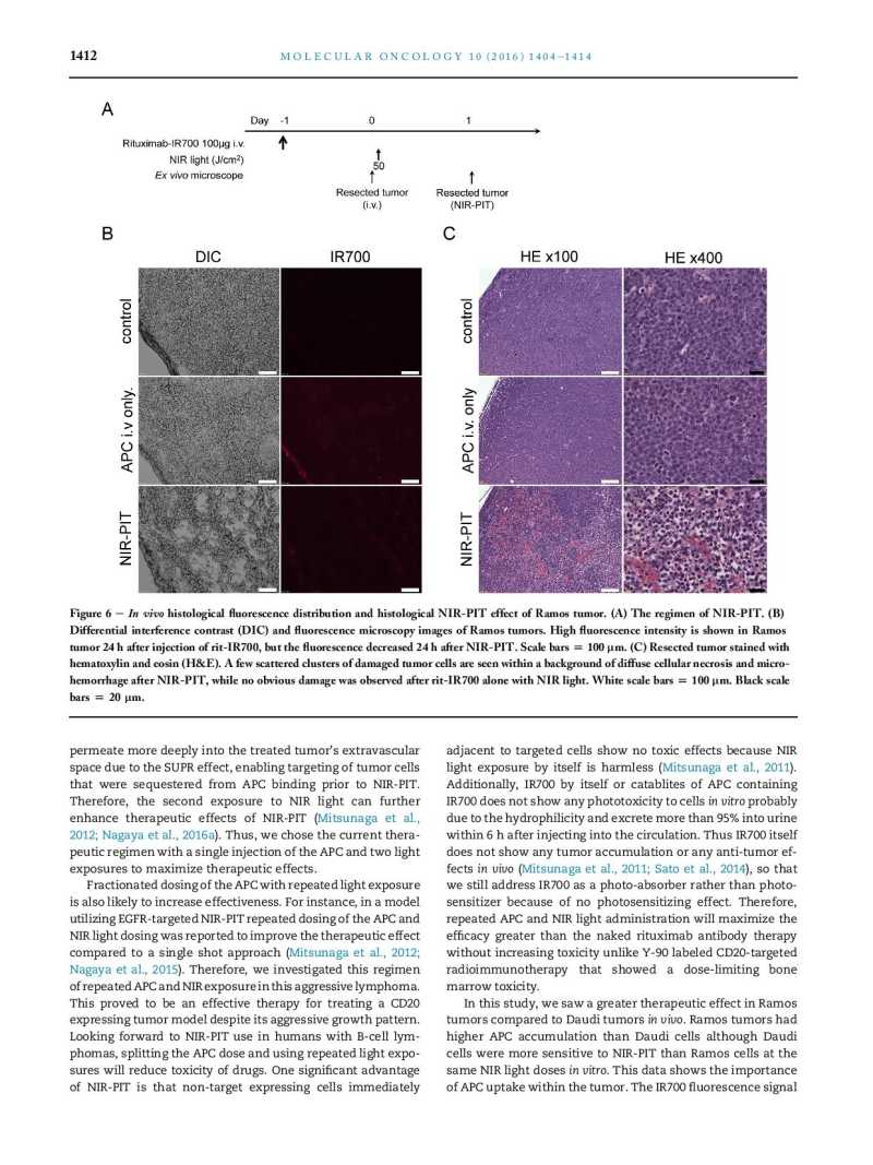 Near infrared photoimmunotherapy of B cell lymphoma page 9