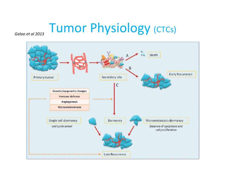 Papositiriou Presentation page 37