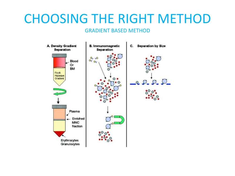 Papositiriou Presentation page 54