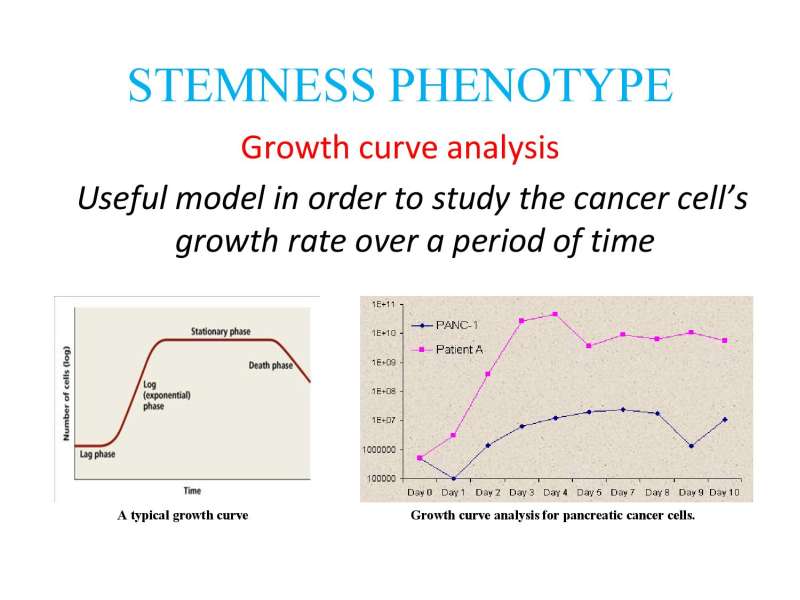 Papositiriou Presentation page 74