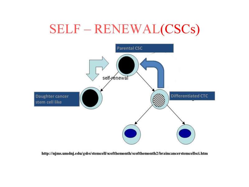 Papositiriou Presentation page 90