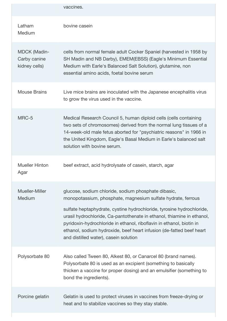 vaccine ingredient page28